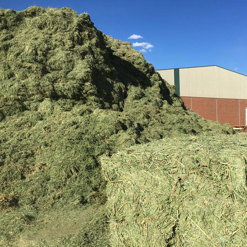 cofocyl-pacas-forrajes-alfalfa-spain