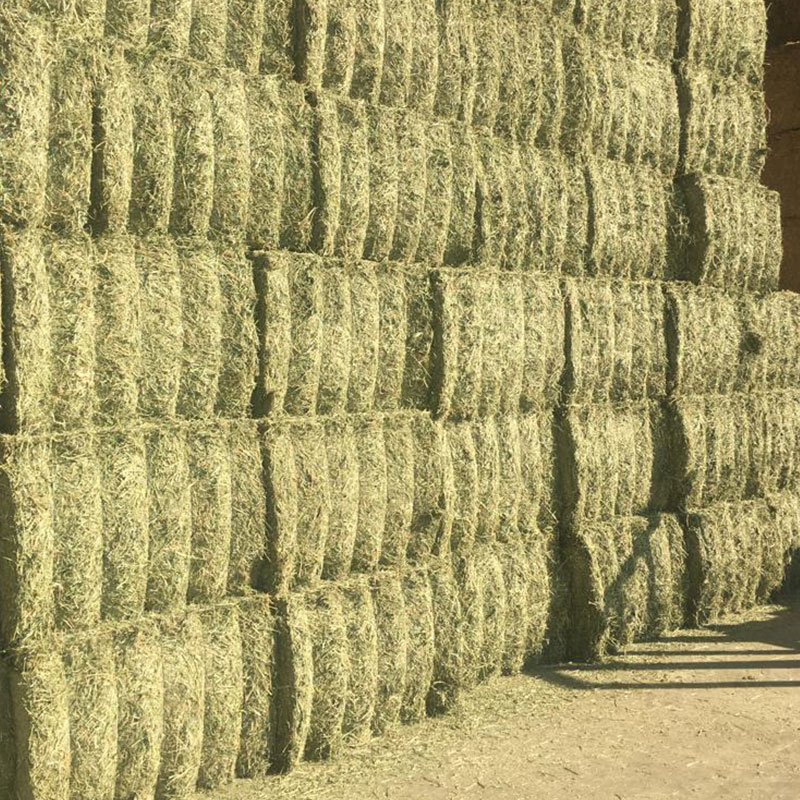 cofocyl-pacas-forraje-alfalfa-deshidratada