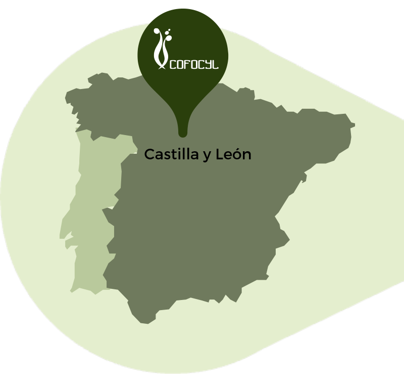 where-are-we-cofocyl-donde-estamos-ubicacion