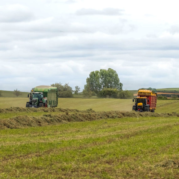 fomentar-el-sector-agricola-nuestra-razon-de-ser-alfalfa-spain