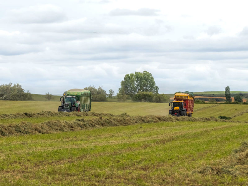 fomentar-el-sector-agricola-nuestra-razon-de-ser-alfalfa-spain