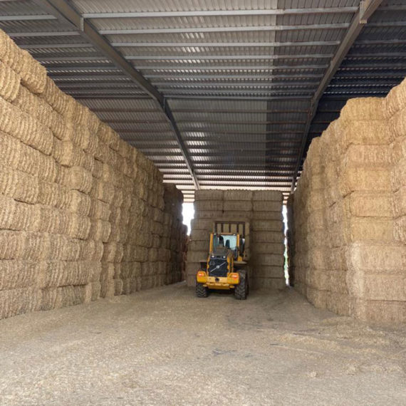 Cofocyl forrajes deshidratados