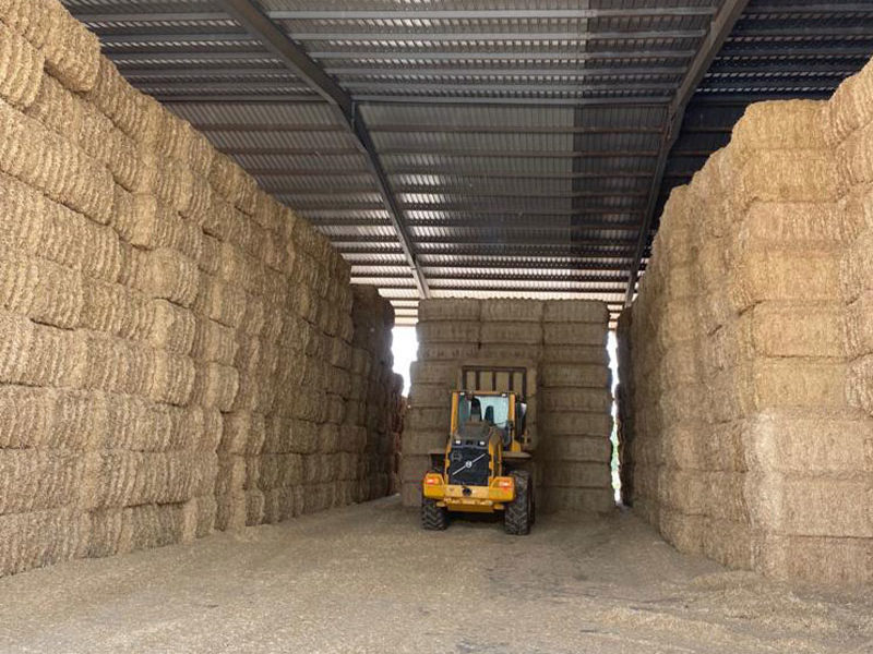 Cofocyl forrajes deshidratados