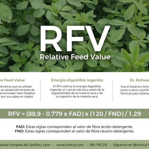 alfalfa-spain-cuales-son-las-claves-de-un-forraje-de-calidad-cofocyl